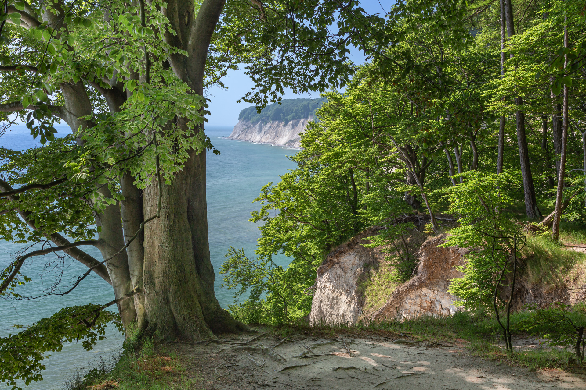 Nationalpark Jasmund - Kollicker Ufer - 24.05.2014